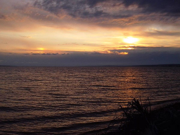 Александр Сидоров