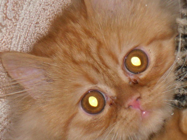 Андрей Лядский