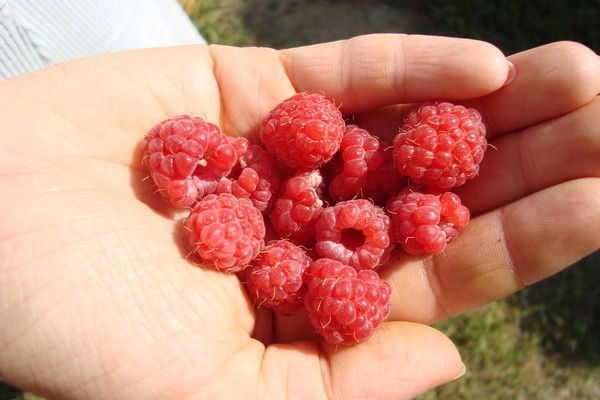 Наталья Пакулова