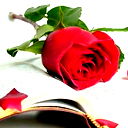 ****интизар**** Шомуратова