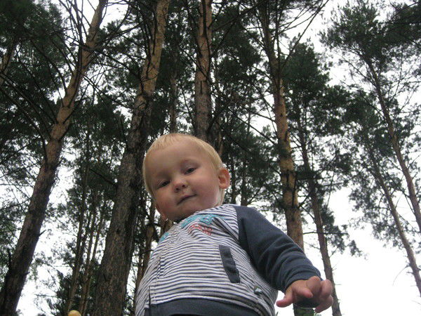 Дмитрий Зигунов