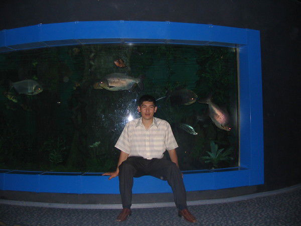 Мухит Шаймолдаев