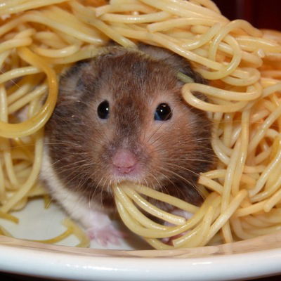 Александра Львова