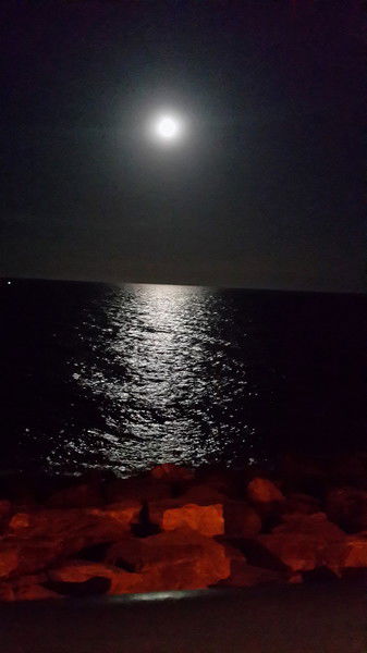 Максим Сомов