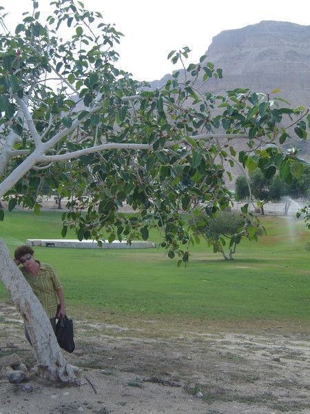 Надежда Майзенберг