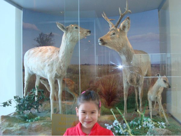 Айса Досымбекова