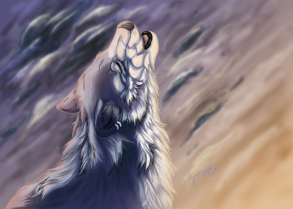 ~~~Shaggy~~~ ***tim***b-10