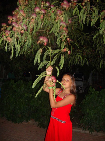 Полина Чипигина