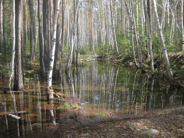 Альфия Касымканова