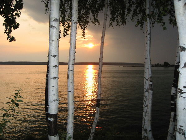 Наталья Солдатова