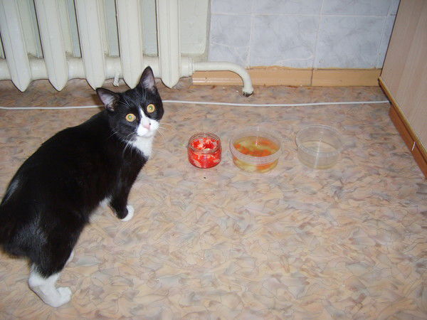 Владимир Куринских