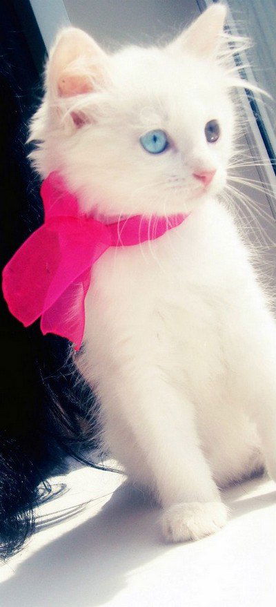 Валерия Ватраль