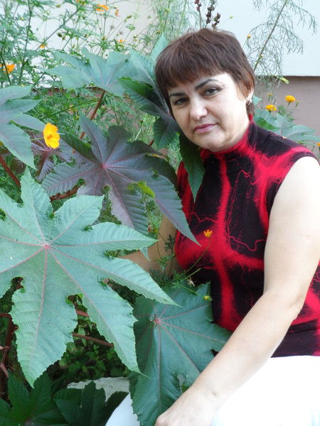 Татьяна Жердева