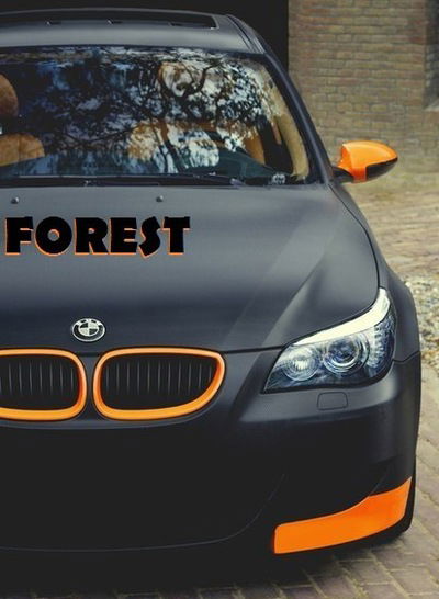 Никита Гуринович