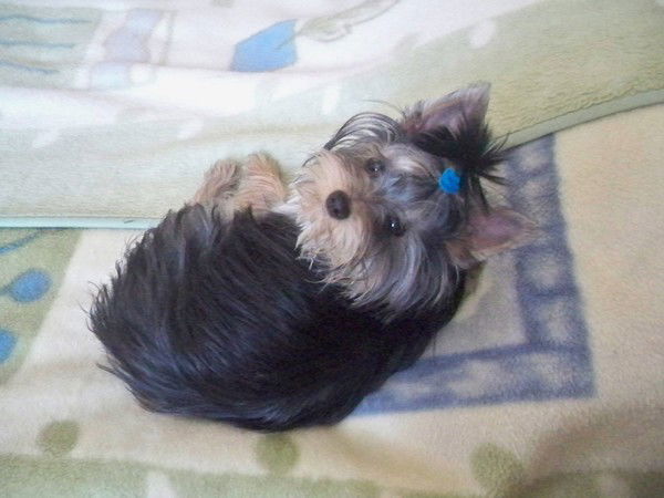 Маша Иванова