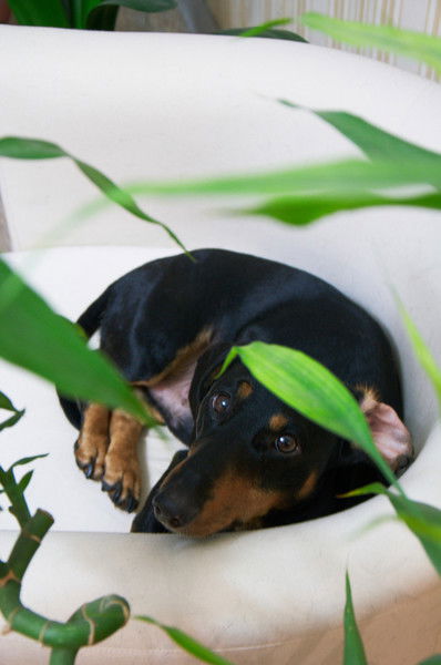 Наталья Осипова