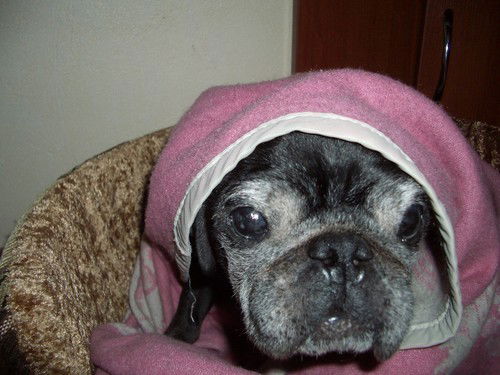 Владислав В