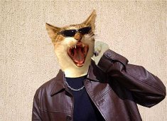 Неизвестно Неизвестно