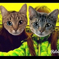 Анастасия Корнеева