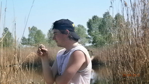 Николай Остриков