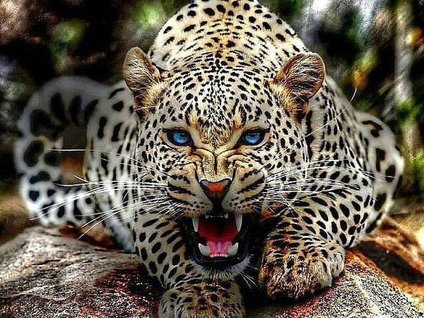 Ксения Валерьевна