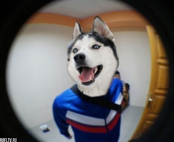 Нурдаулет Наурызбай