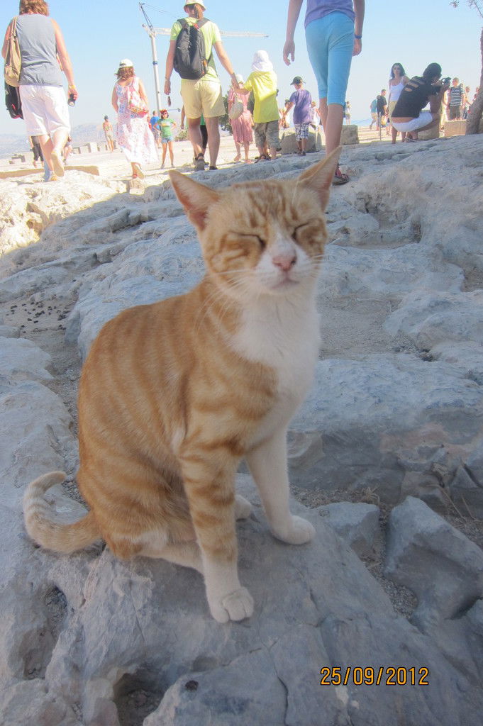 Екатерина Полуэктова