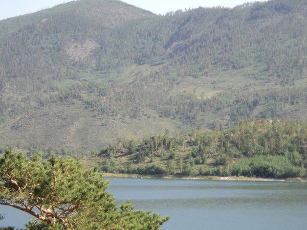 Галия Мустафина