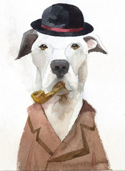 Марат Кайдаулов