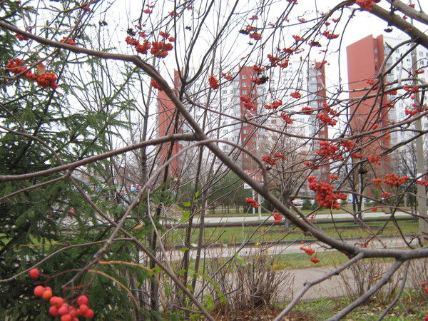 Татьяна Михаэлис