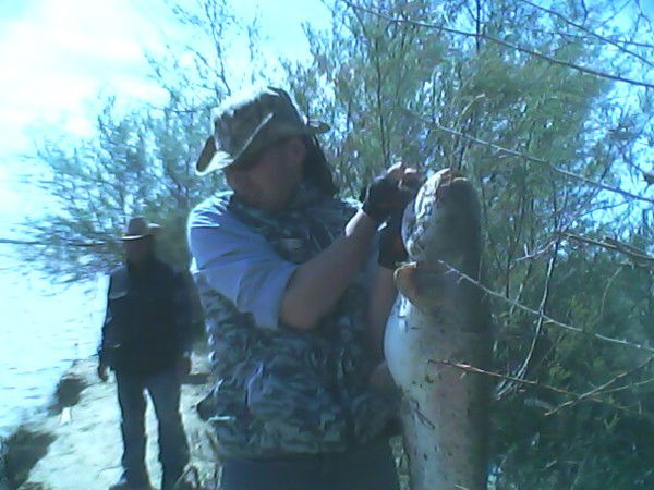 Арман Жарылгасов