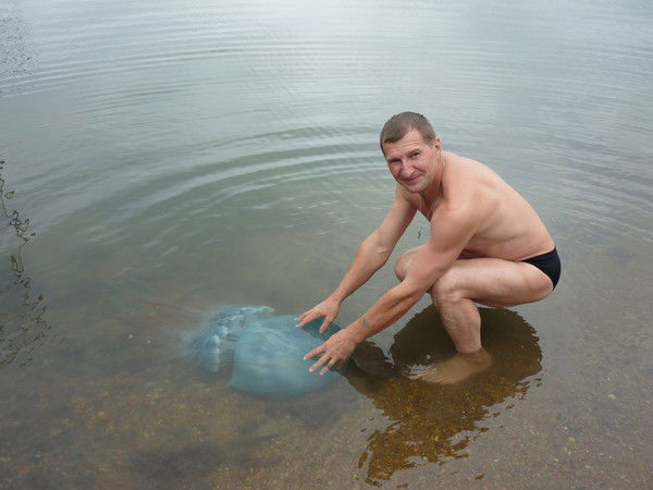 Петр Карачун