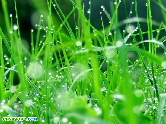 Татьяна Комлик