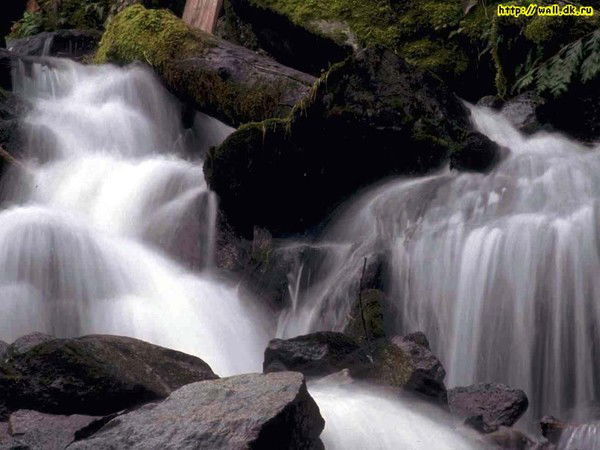 София Танатарова