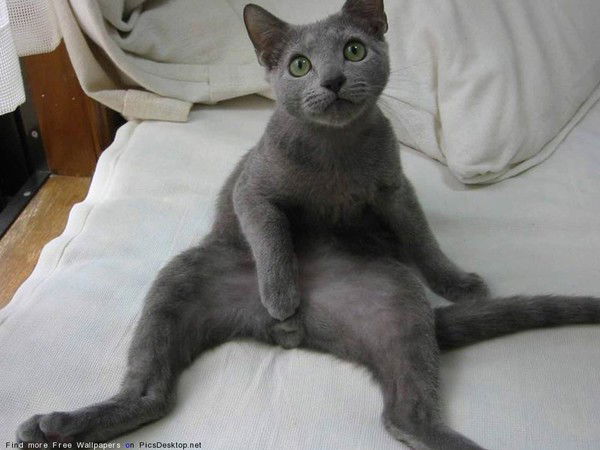 Дима Ловцов