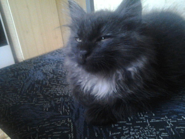 Лариса Сарычева(Шкарлет)