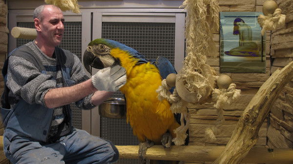 Алексей Гнётов