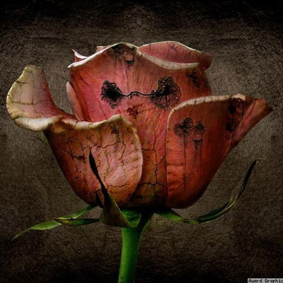 Денис Великанов