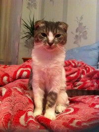 Дмитрий Пузанов