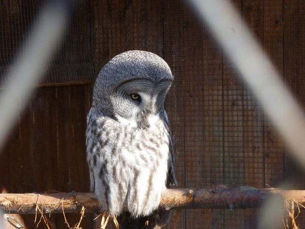 Неизвестно Неизвестно