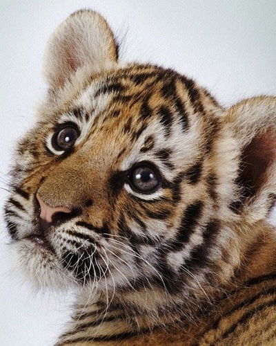 Алиночка Бекмурзина