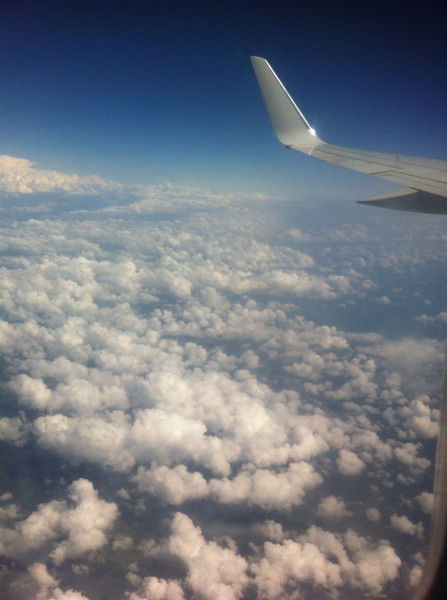 Елена Маркова