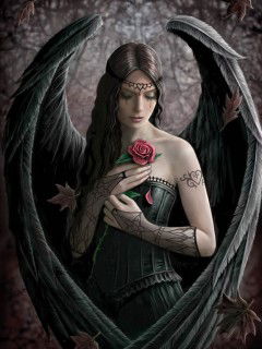 Таня Терещенко