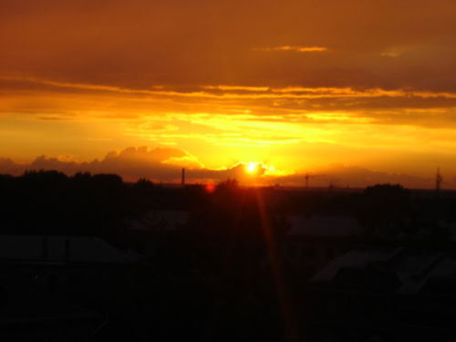 Оксана Золотоноша