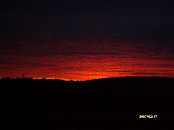 Алексей Шувалов