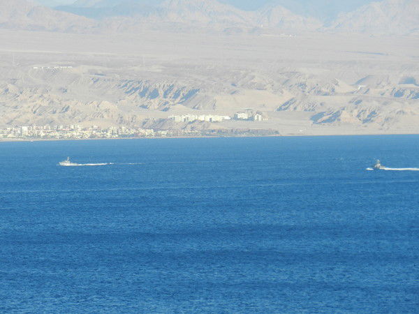 Ирина Каргапольцева