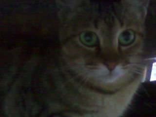 Алена Таратон