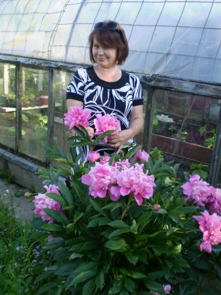 Наталья Дамрина