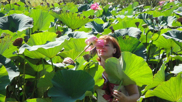 Галина Анасьева