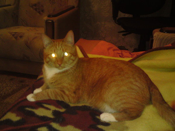 Ксюша Андерсон